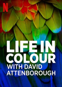 David Attenborough: Sự Sống Đầy Màu Sắc - Life In Colour With David Attenborough (2021)