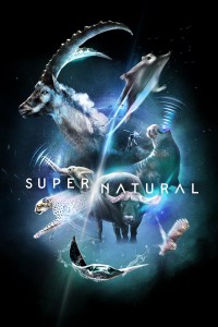 Siêu Tự Nhiên - Super/Natural (2022)